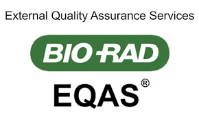 WhatsApp Image 2024-06-27 at 2.47.40 PM (1)